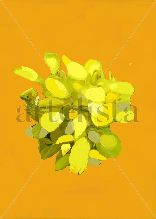imprexpresionismo - flores de Castilla La Mancha XXVIII