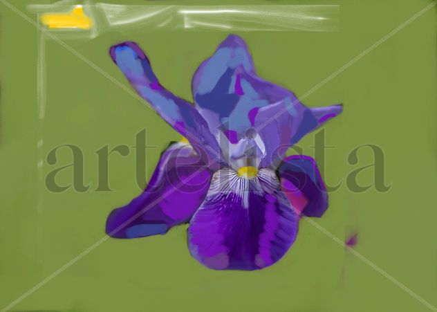 imprexpresionismo - flores de Castilla La Mancha XXIX