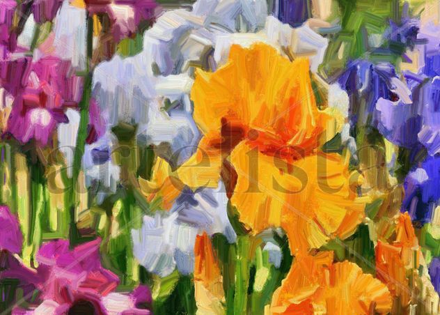 imprexpresionismo - flores de Castilla La Mancha XXX