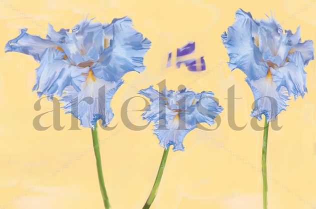 imprexpresionismo - flores de Castilla La Mancha XXXI
