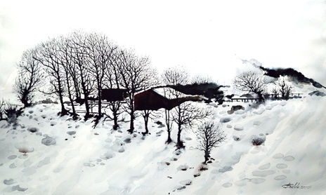 NIEVE