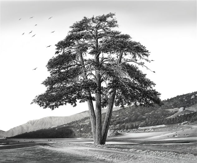 ÁRBOL 