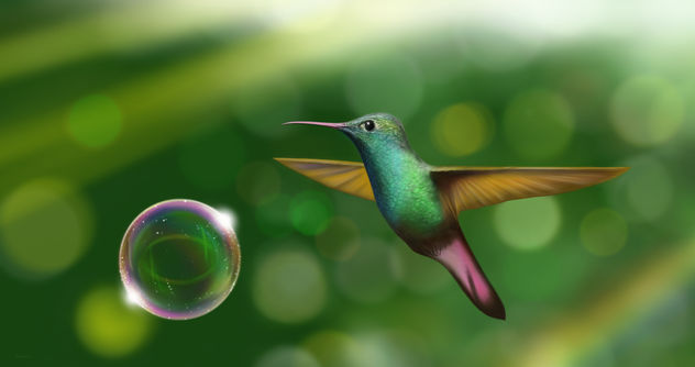ENTRETENIDO COLIBRÍ