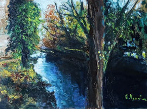 "Río Negro-2"