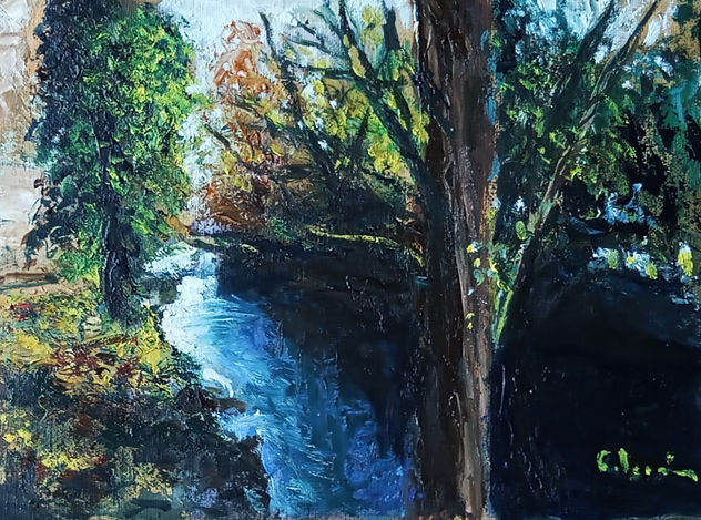 "Río Negro-2"
