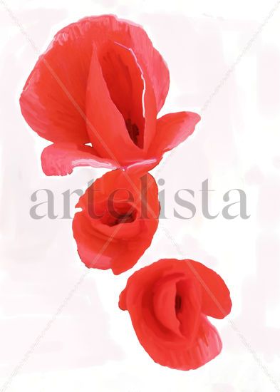 imprexpresionismo - flores de Castilla La Mancha XXXII 