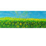 Girasoles