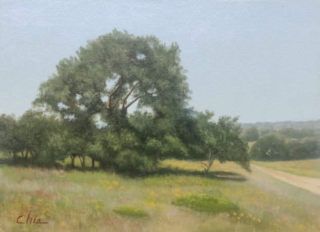 Despertar de verano Óleo Tabla Paisaje