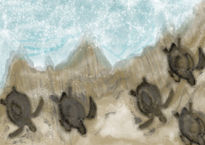 Huellas de Tortugas