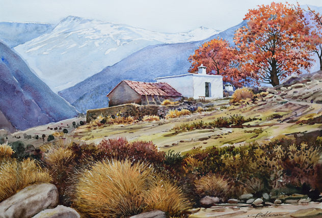 El cortijillo en la Sierra