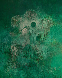 Anfibios