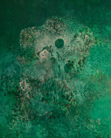 Anfibios