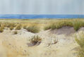 Dunas