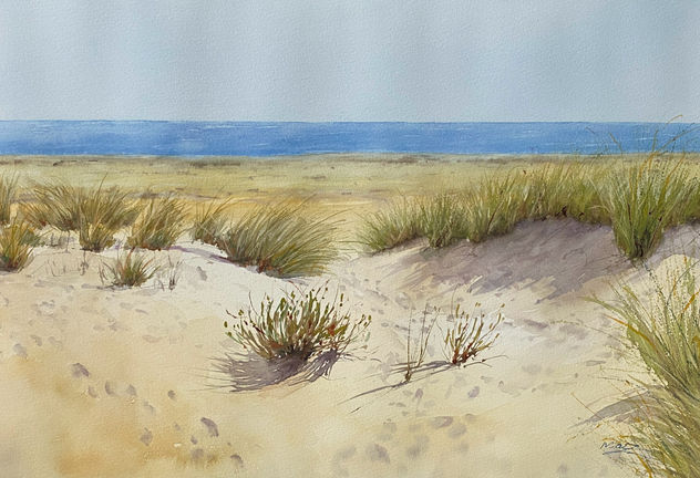Dunas