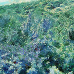 flores de Castilla La Mancha thumbnail 2