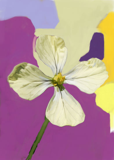 imprexpresionismo - flores de Castilla La Mancha XLVII 