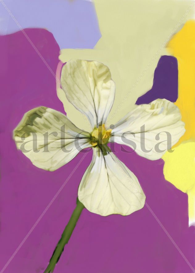 imprexpresionismo - flores de Castilla La Mancha XLVII