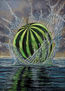 Kherson Splash
