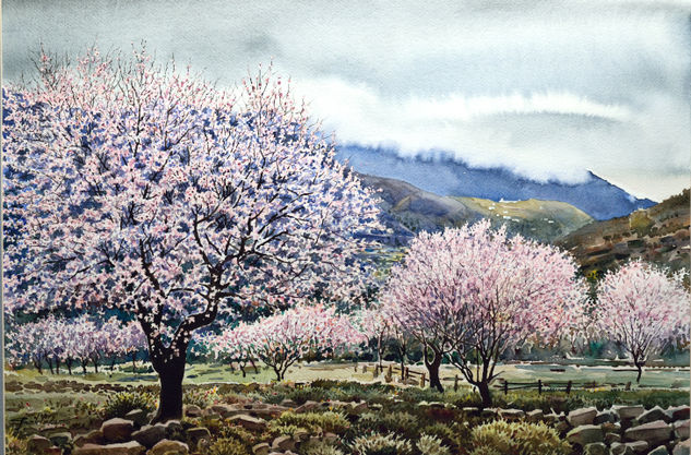 Cerezos en Flor Watercolour Paper Landscaping