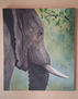 Elefante