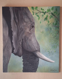 Elefante