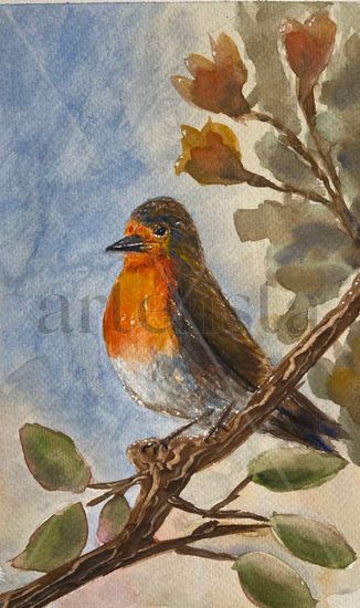 Petirrojo barrigón Acuarela Papel Animales