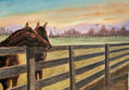 Atardecer equestre