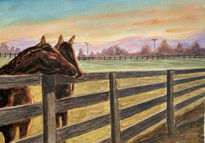 Atardecer equestre