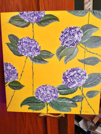Hortensias malvas