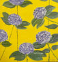 Hortensias malvas
