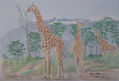 Giraffe Triology