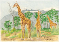 Giraffe Triology