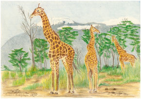 Giraffe Triology