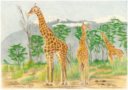 Giraffe Triology