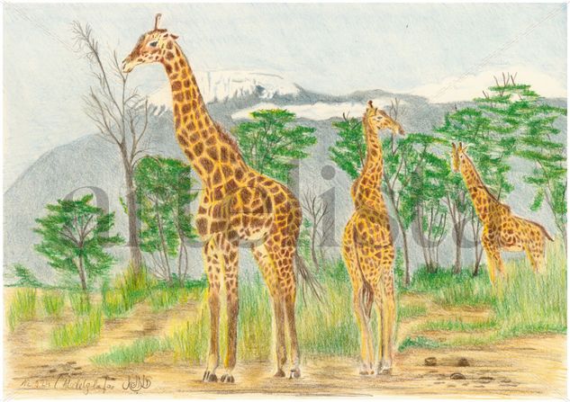 Giraffe Triology Lápiz