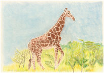 Majestic giraffe
