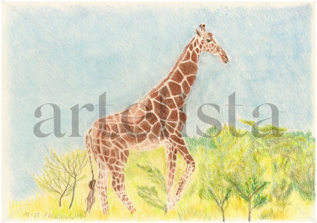 Majestic giraffe Lápiz