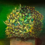 Pinturas vinílicas thumbnail 1