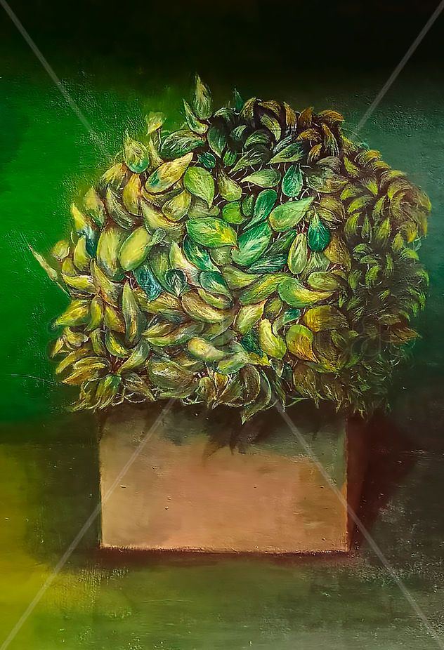 "La greñuda"
