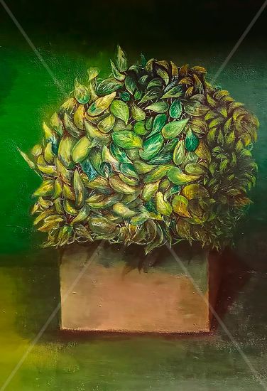 "La greñuda" Otros Otros Floral