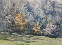 Naturaleza 64