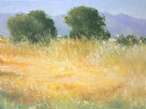 Paisaje del entorno...