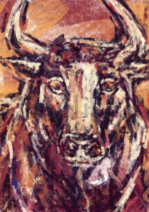 Toro