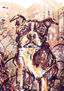 Loyal friend