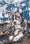 Loyal friend (II)