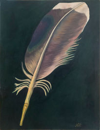 Pluma I: Origen
