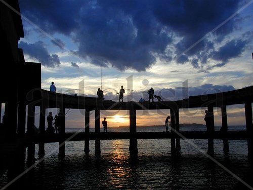 Muelle