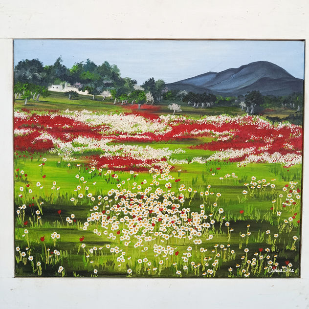 Campo de amapolas