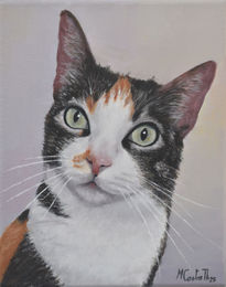 Retrato gata bia