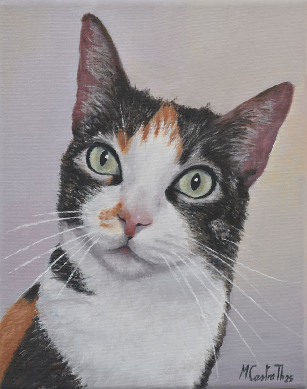 RETRATO GATA BIA